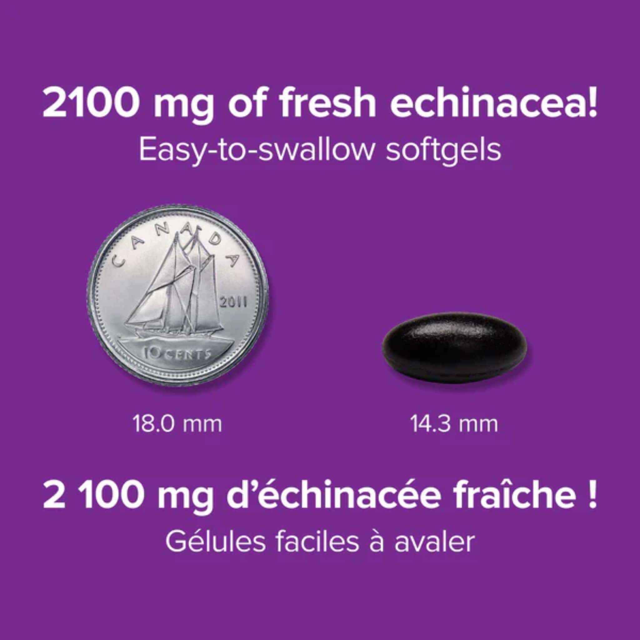 Webber Naturals Echinacea 2100mg, Triple Standardized Herb Extract, 20:1 extract, BONUS SIZE, 50% More, 90 Softgels - Image 3