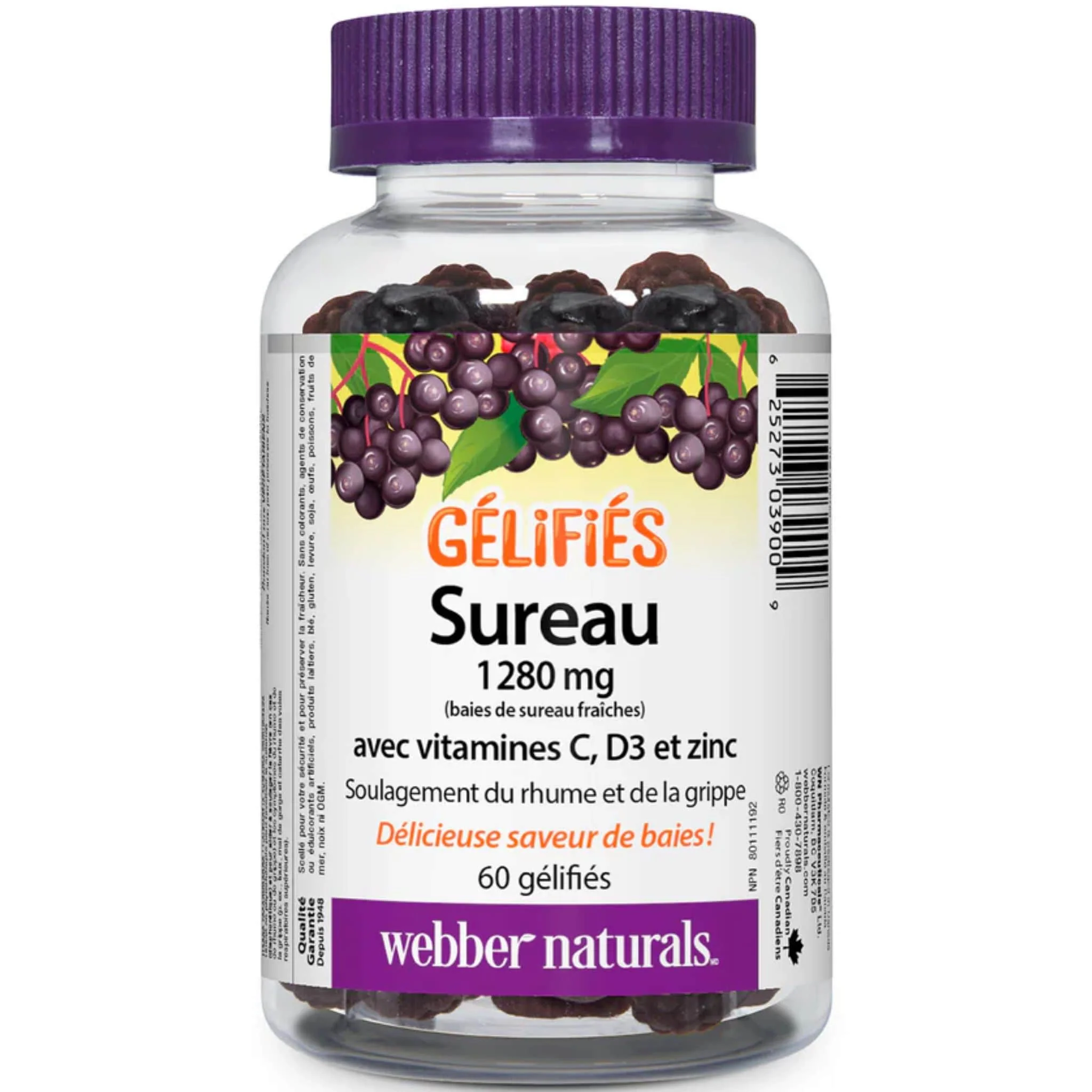 Webber Naturals Elderberry Gummies 1280mg Plus Vitamin C, D3 and Zinc, Cold and Flu Relief, 60 Gummies - Image 2