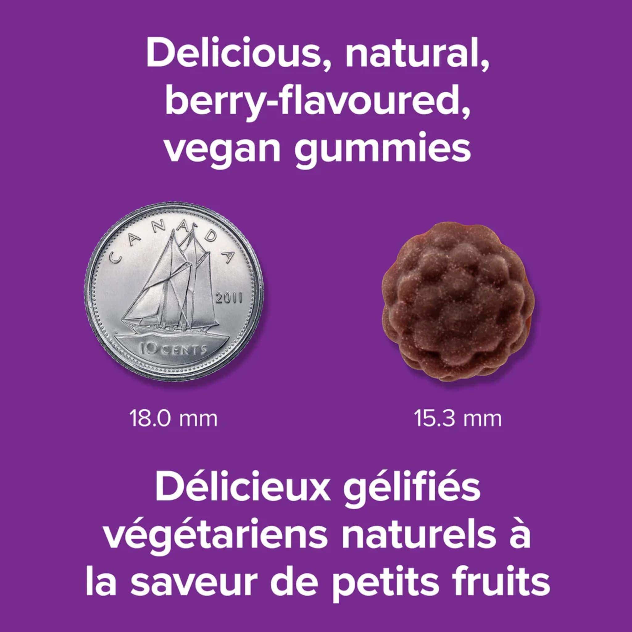 Webber Naturals Elderberry Gummies 1280mg Plus Vitamin C, D3 and Zinc, Cold and Flu Relief, 60 Gummies - Image 4