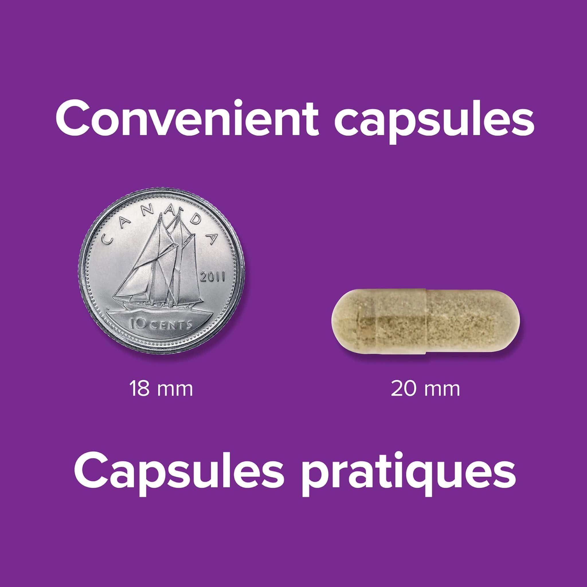 Webber Naturals Gentle Iron 28mg, Plus Vitamin C, B12, and Folic Acid, 150 Capsules - Image 3