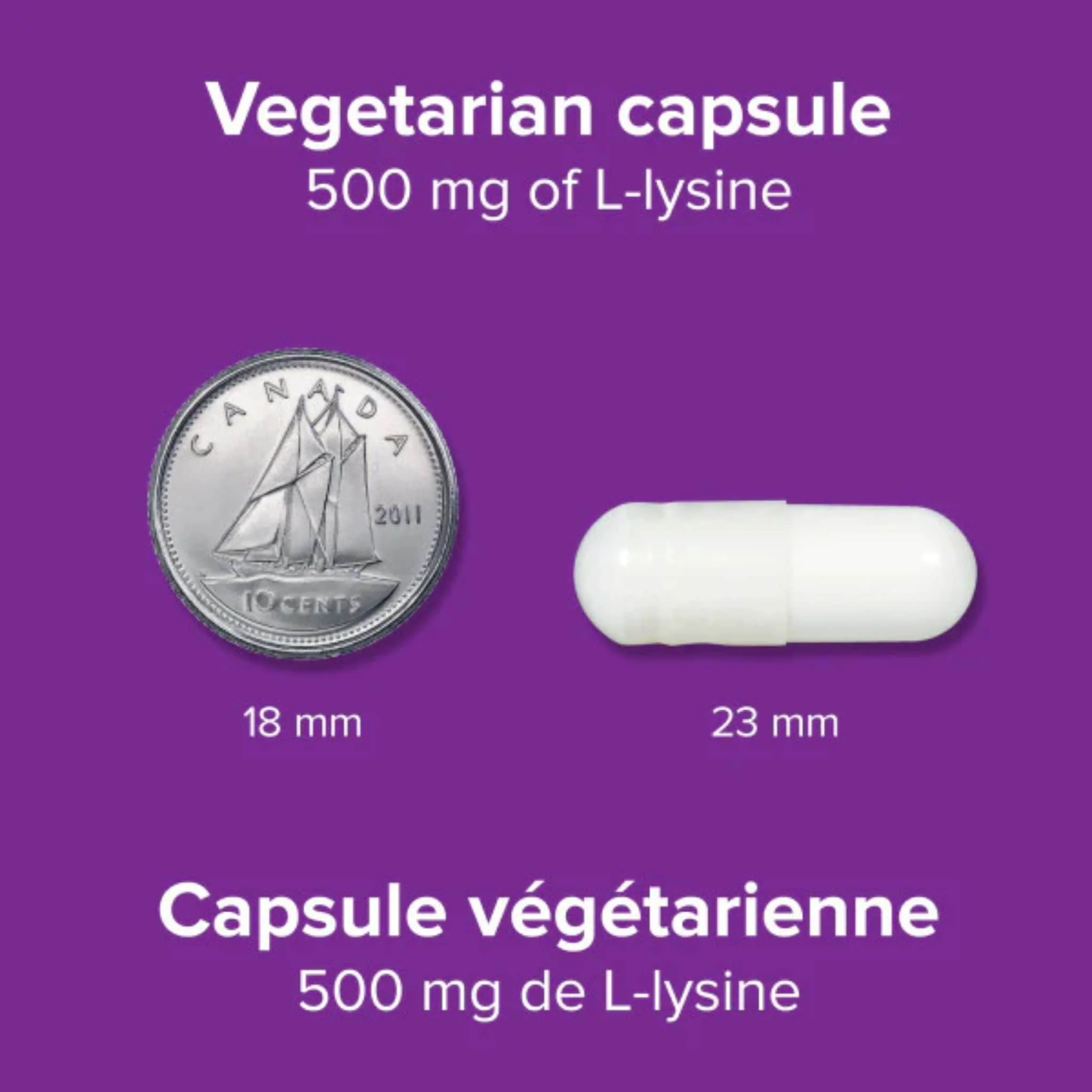 Webber Naturals L–Lysine 500mg, 60 Vegetarian Capsules - Image 4