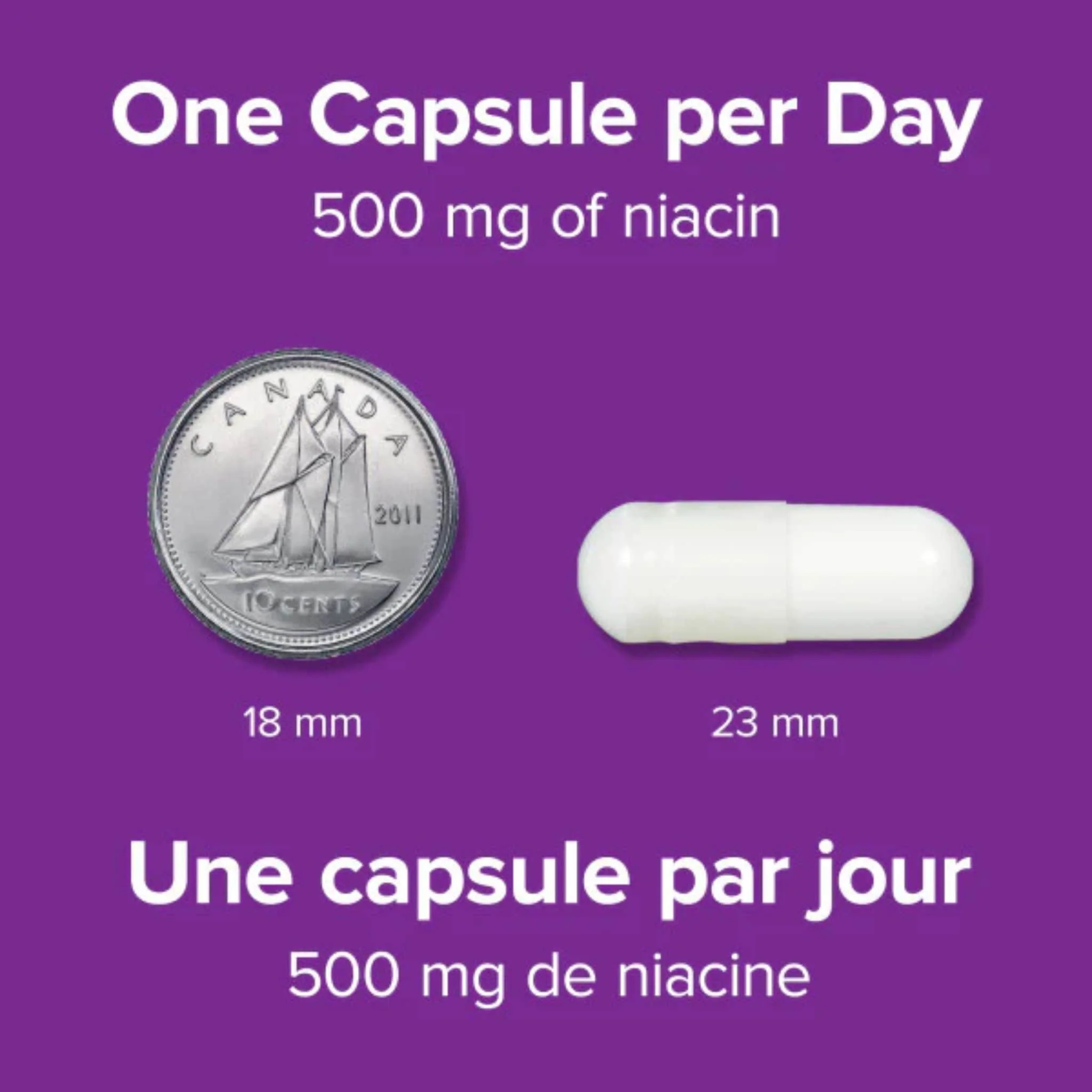 Webber Naturals Niacin 500mg, No Flush, With Vitamin B3, 90 Capsules - Image 4