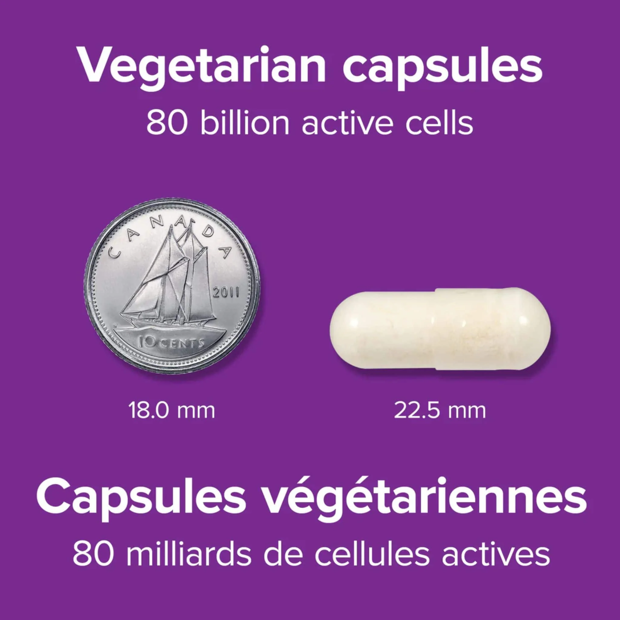 Webber Naturals Probiotic 80 Billion, 20 Vegetarian Capsules - Image 2