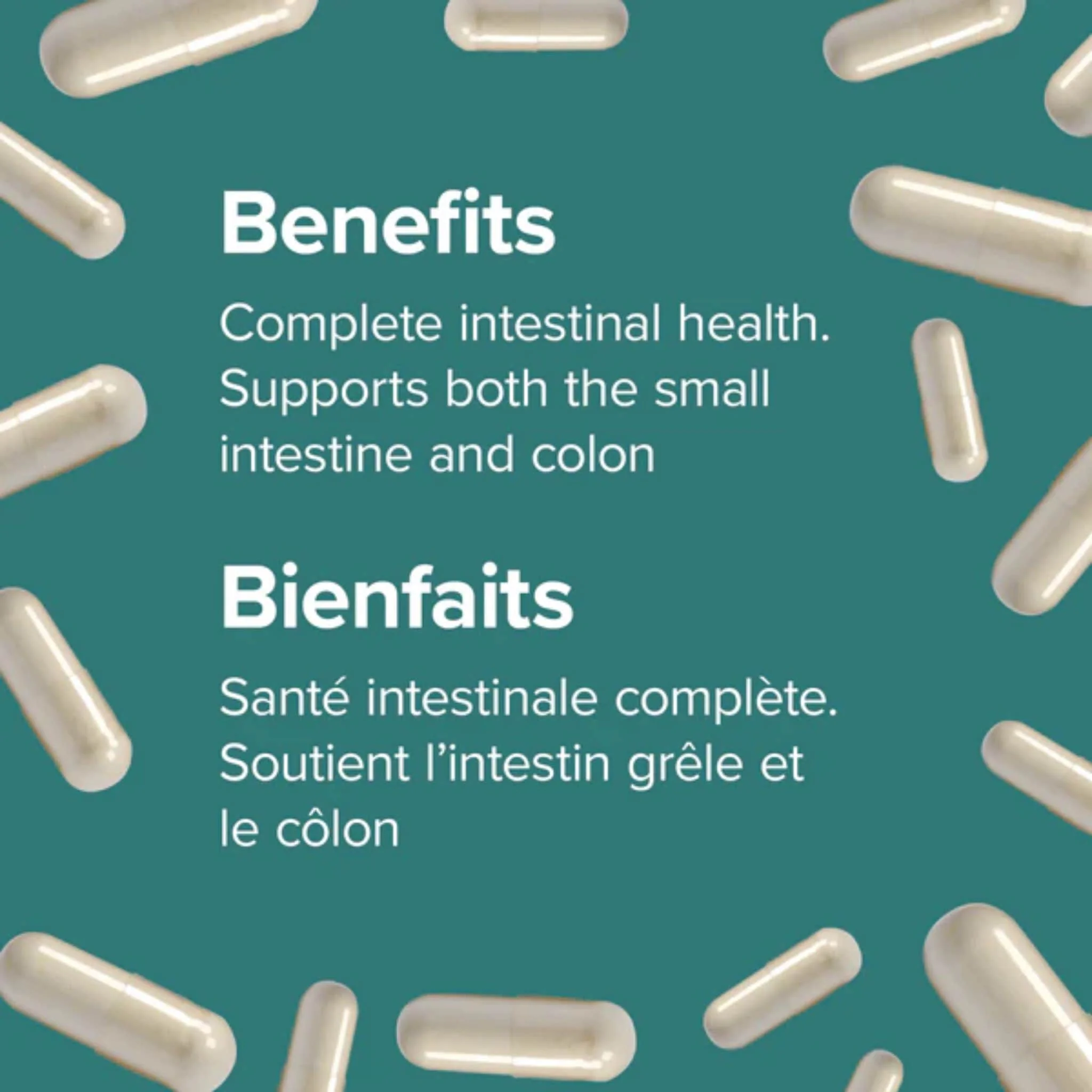 Webber Naturals Probiotic, Double Strength, 10 Billion Active Cells, 5 Probiotic Strains, Shelf Stable, 40 Capsules BONUS! 33% MORE - Image 3