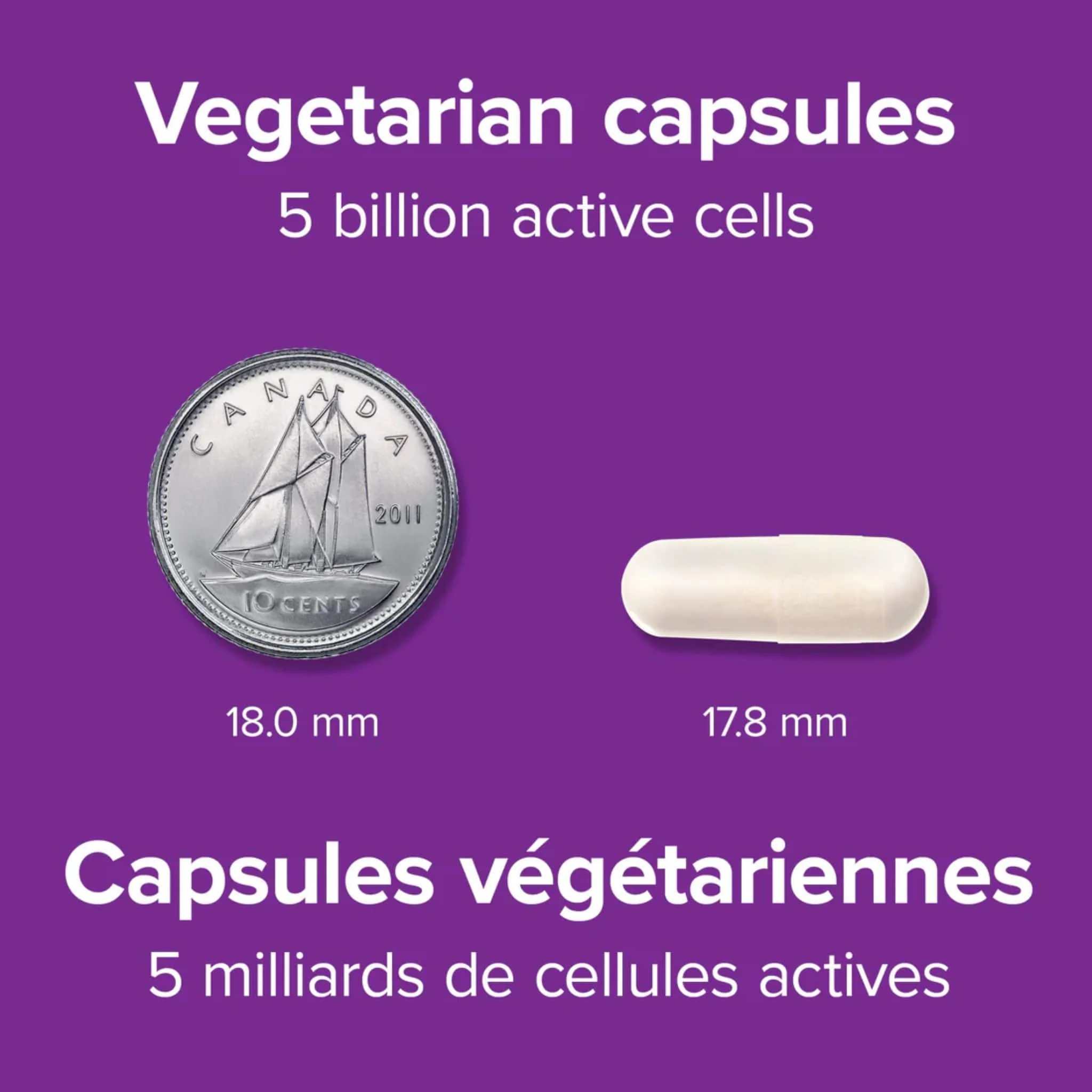 Webber Naturals Probiotic Multi Strain, 5 Billion Active Cells, 5 Probiotic Strains, 60 Vegetarian Capsules - Image 7