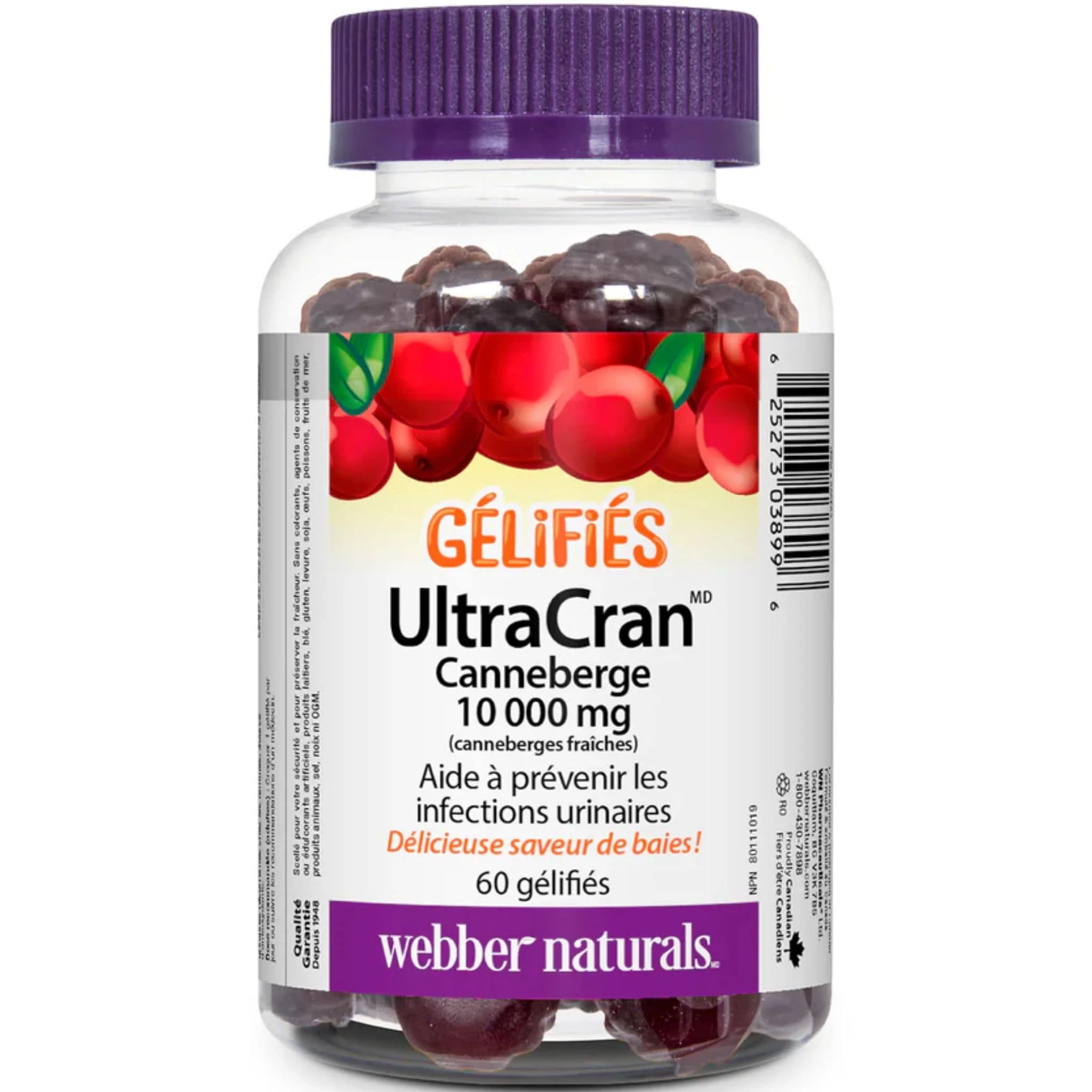 Webber Naturals UltraCran Cranberry Gummies 10,000mg, 60 Gummies - Image 2