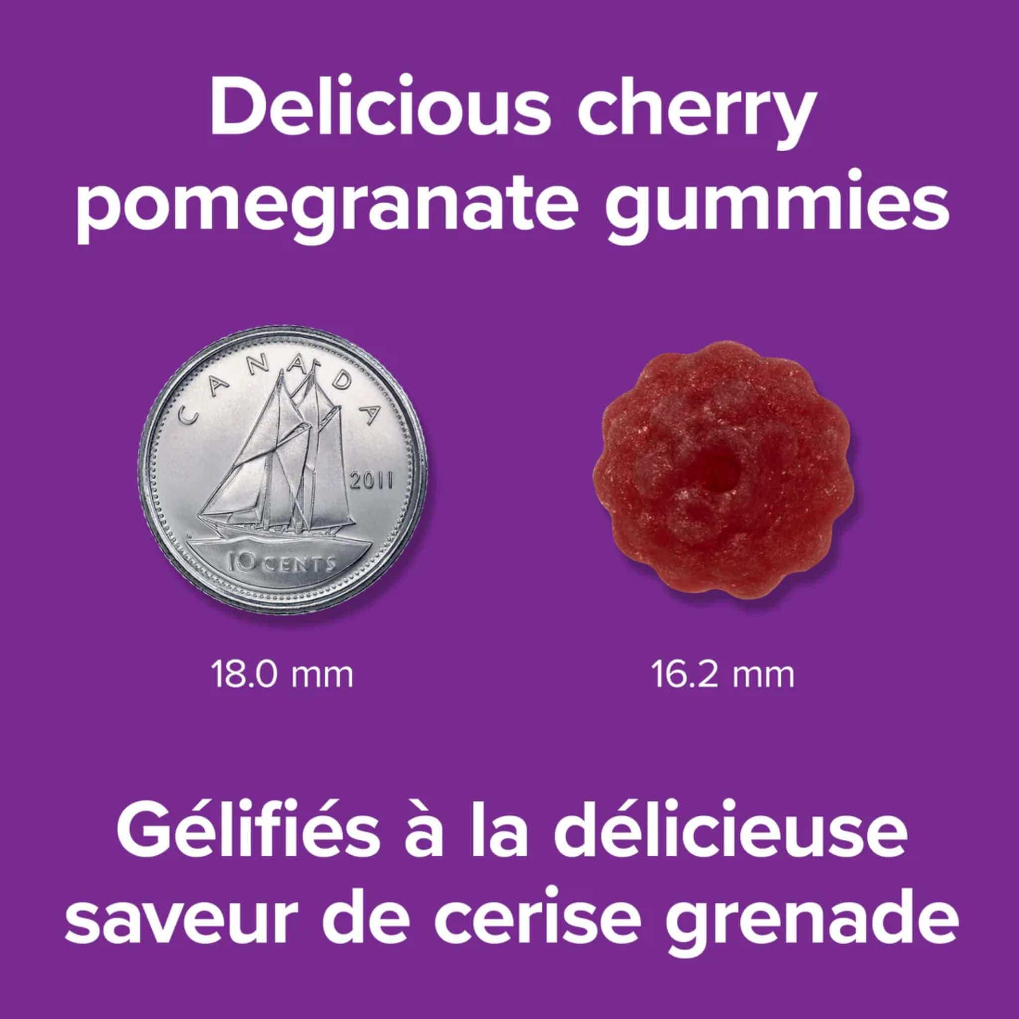 Webber Naturals Vitamin B12 Gummies 1000 mcg, 60 Gummies - Image 5